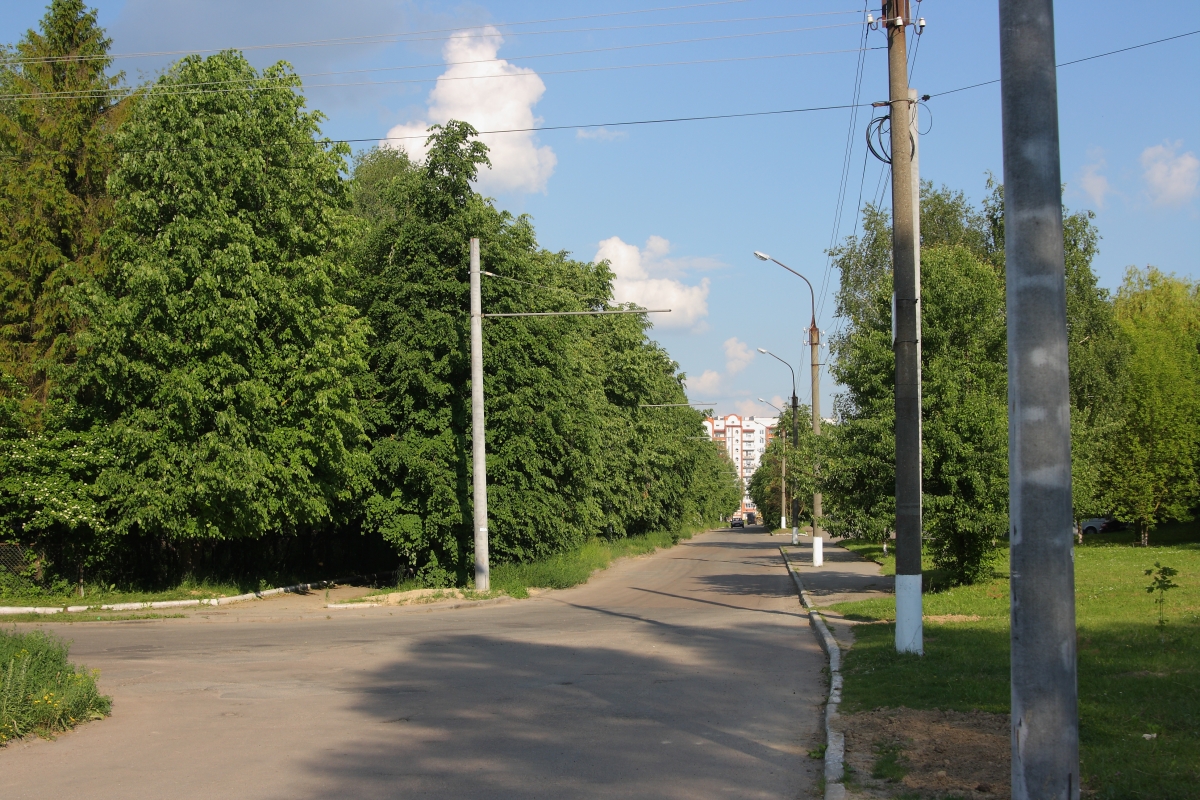 6 червня тролейбус №9 не курсуватиме через вул. Стуса, Корольова та Купчинського