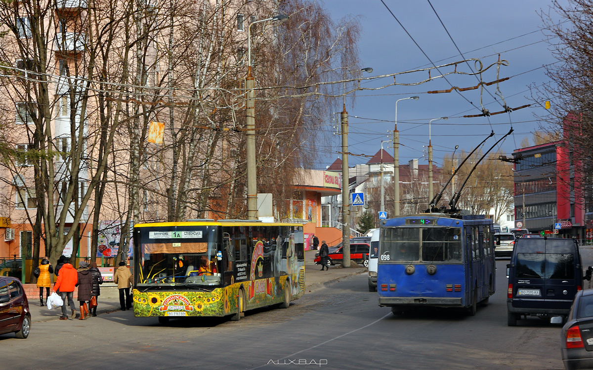 Тернопільським тролейбусникам держава заборгувала понад 2 мільйони